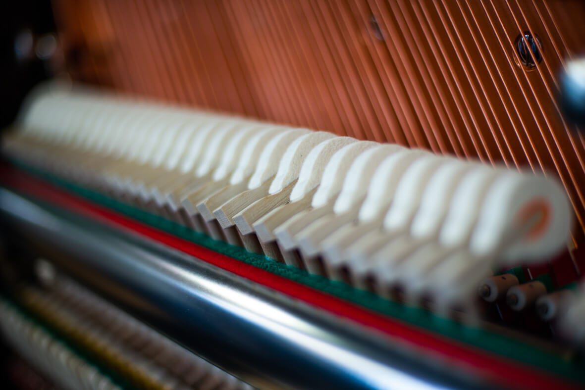Hammerköpfe