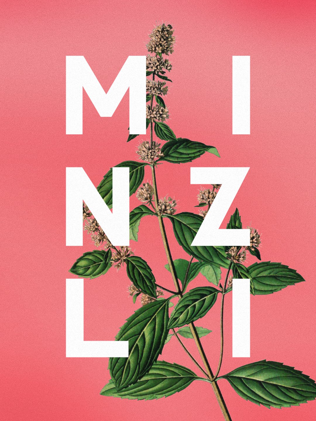 Gin Minzli