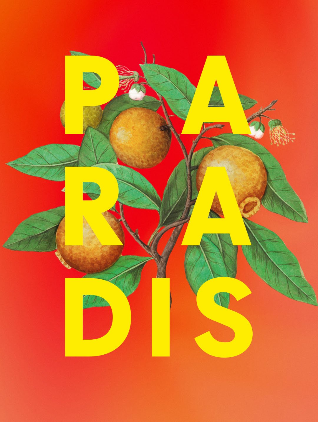 Likör Paradis