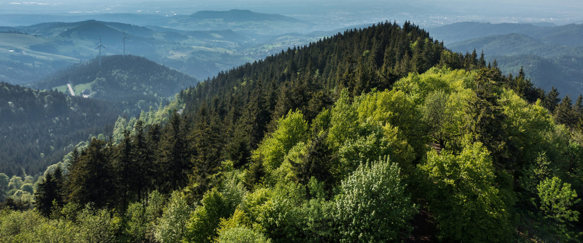 Werksstandort Baiersbronn im Schwarzwald