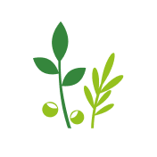Organic Products