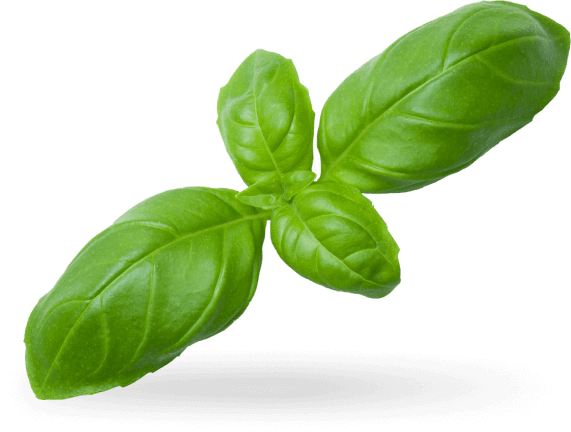 Spice Decoration