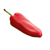 Spices