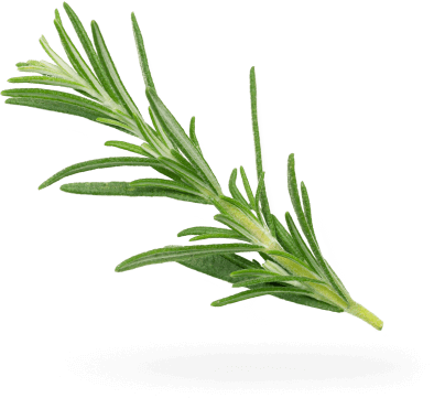 Spice Decoration