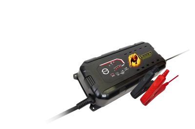 Accucharger 12/24V 15A
