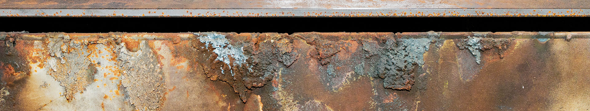 Rost