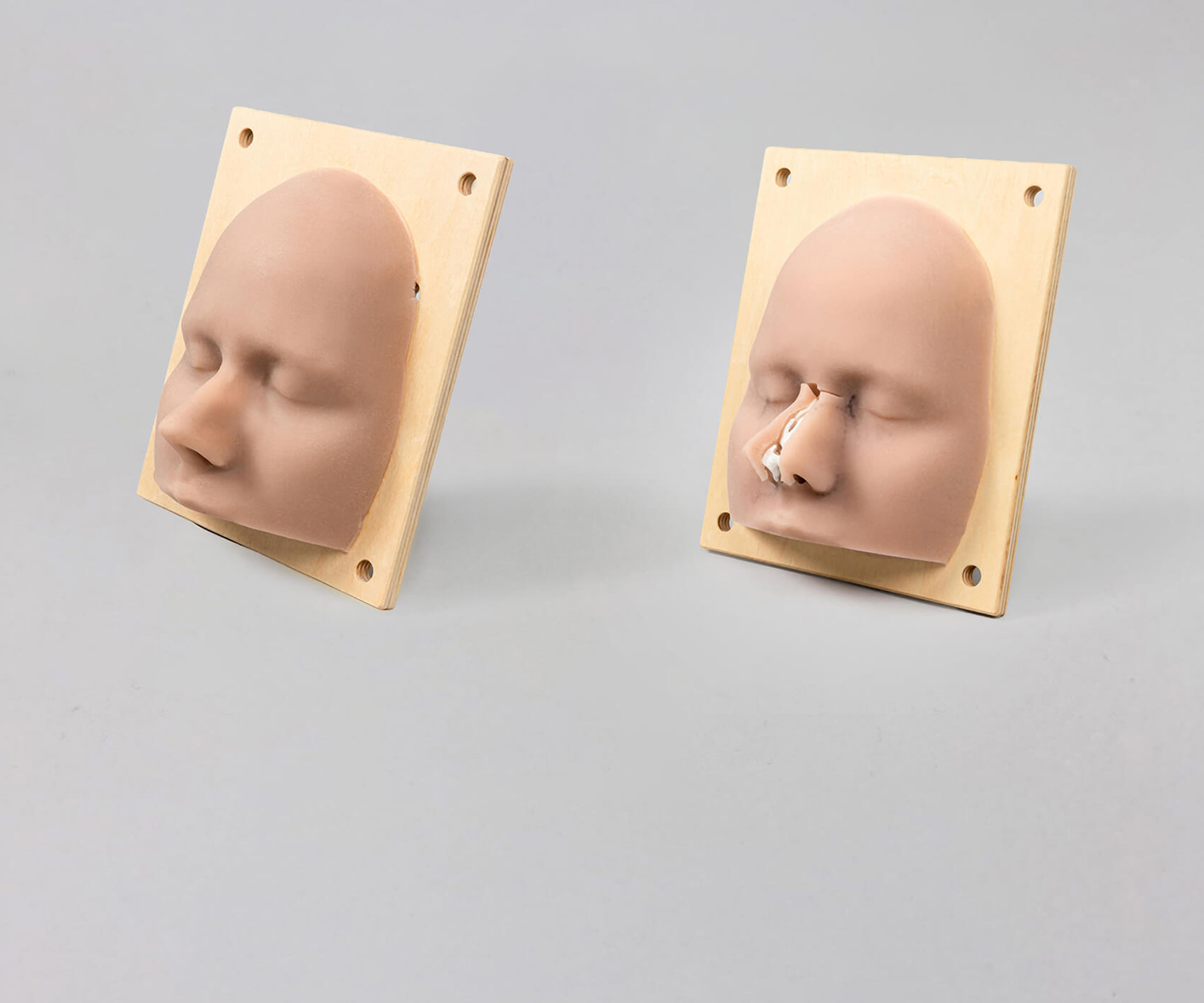 Weichgewebemodelle