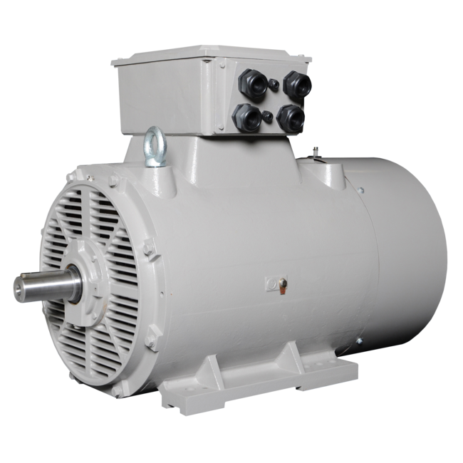 Motor (frame sizes 63–400)