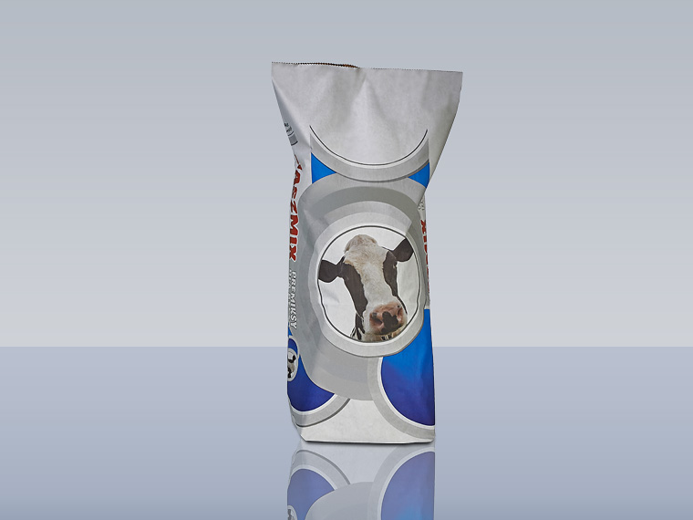 Kreuzbodensack – Ausführung 4