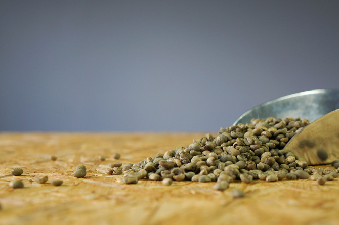 Green Coffee Palanda (Ecuador)