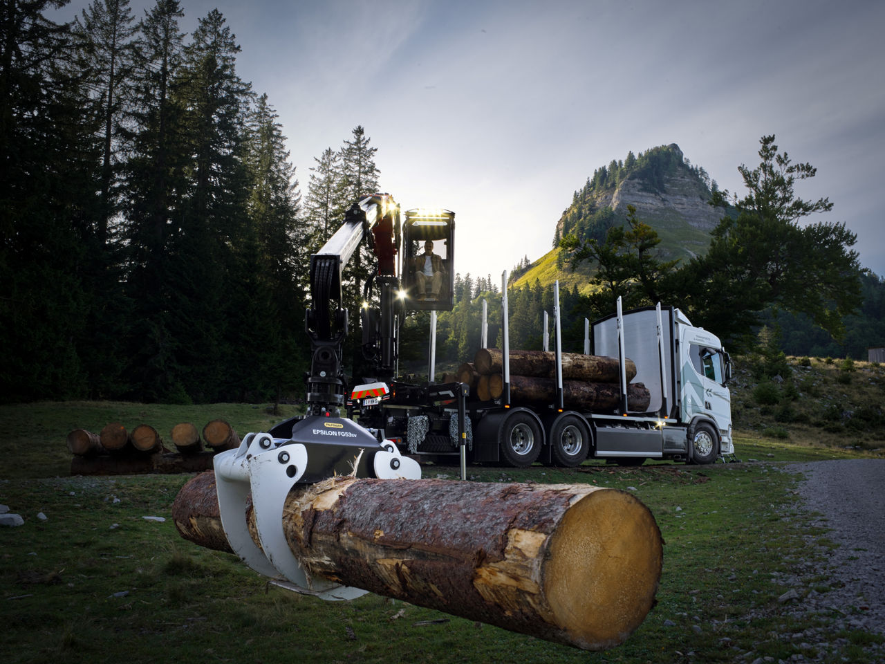 EPSILON timber crane