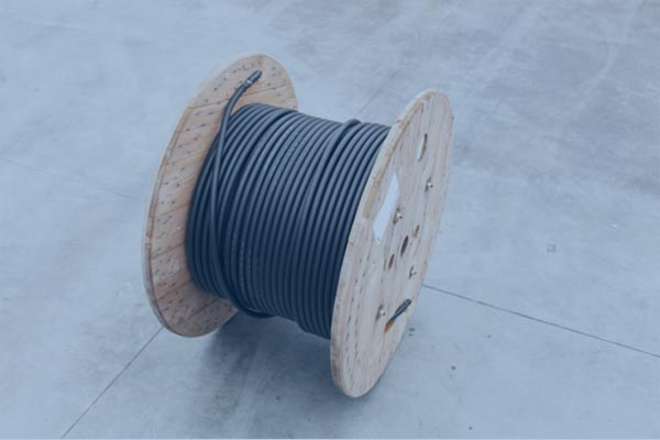 Standard cables
