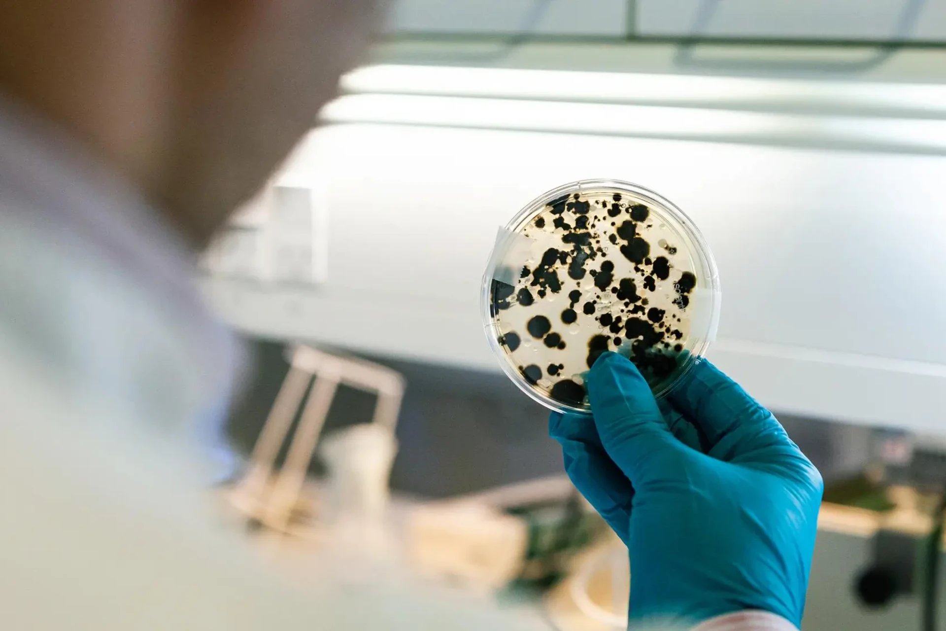 Yeast-based Biosolutions