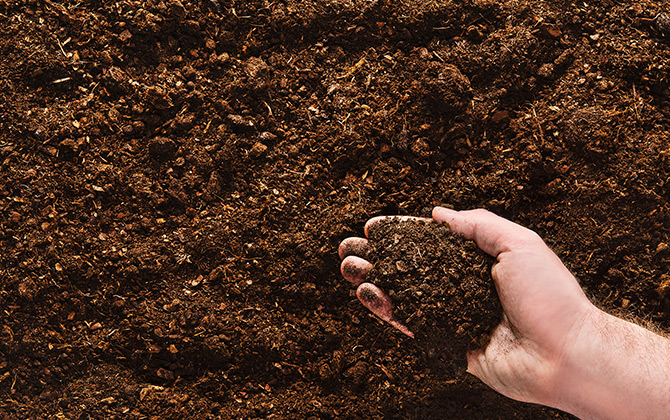Composting business division
