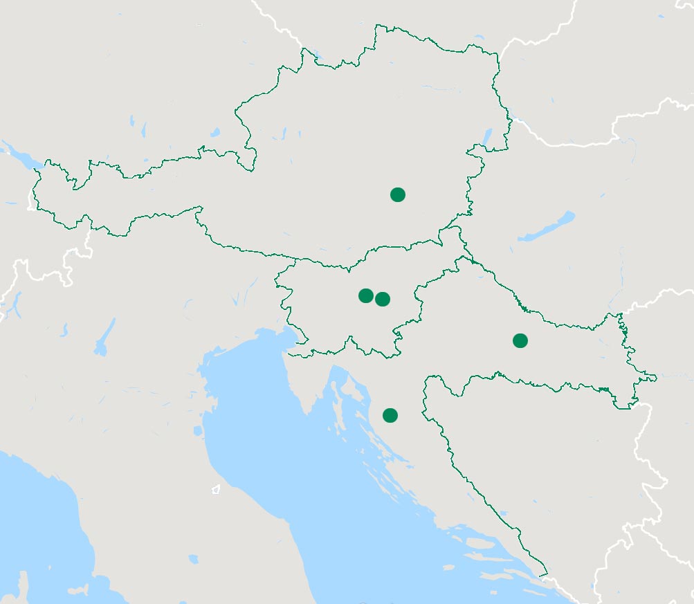 Site map InterCal Group