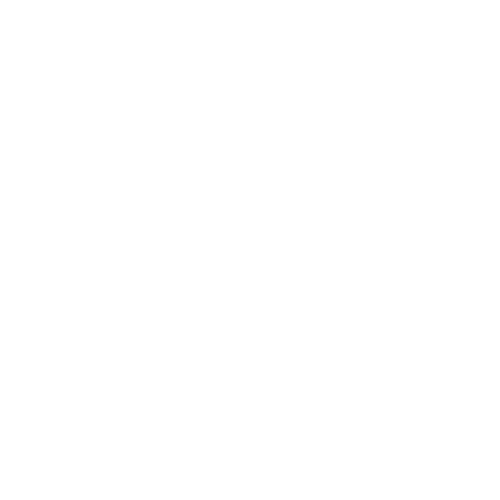 Logo MaintraX