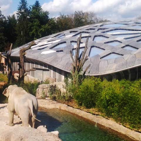 Roof substructure for the elephant house at Zurich Zoo