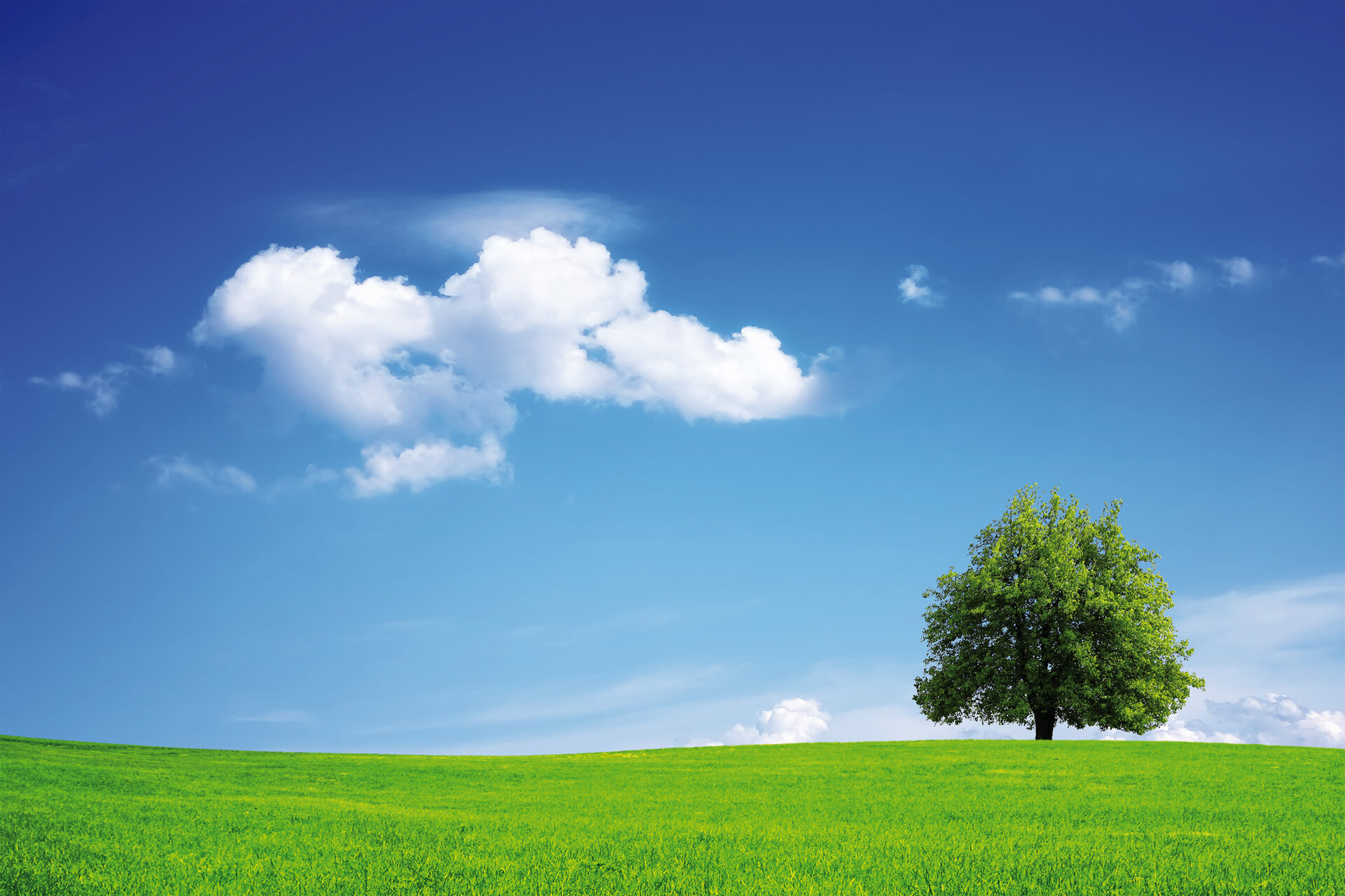 Sustainable lubricants and environmentally friendly production