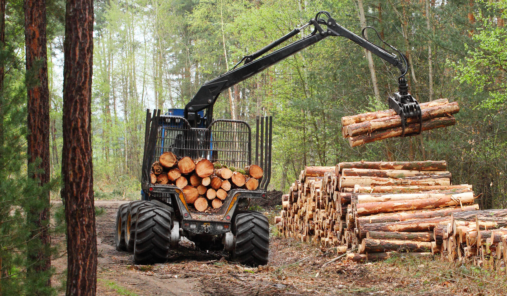 Forestry lubricants