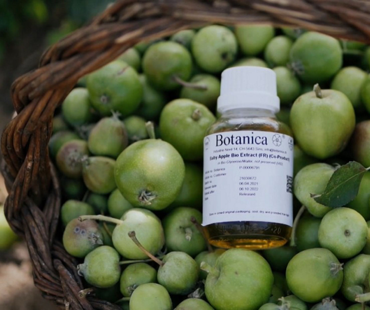 Botanischer Extrakt (Baby Apple)