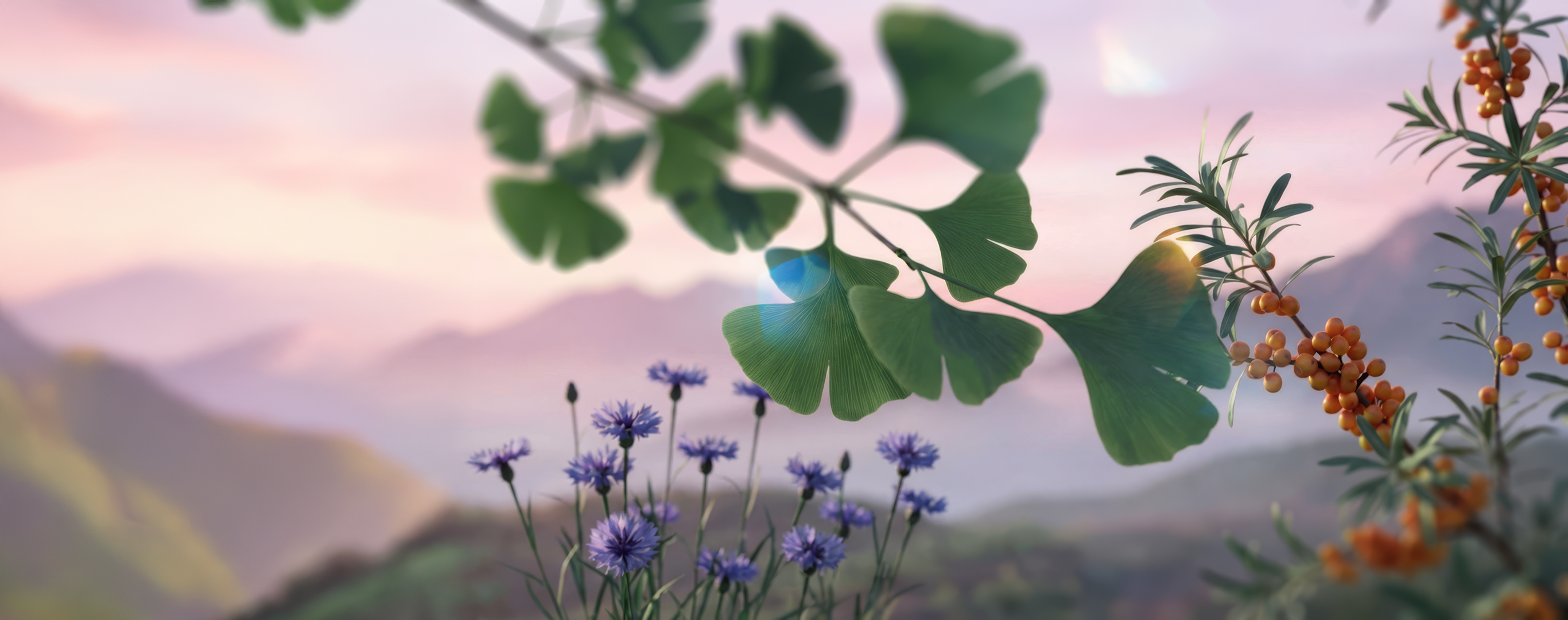 Botanical Extracts (Evonik) – Fertigung