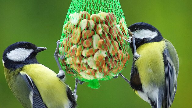 Netzverpackung Vogelfutter